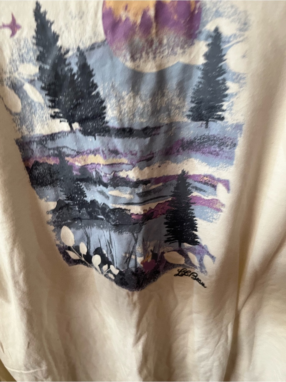 L.L Bean XL gently loved Cream Graphic Sunset Forest Tee - Picture 7 of 16